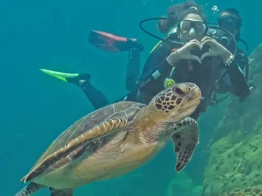 refugio-do-estaleiro-passeios-4